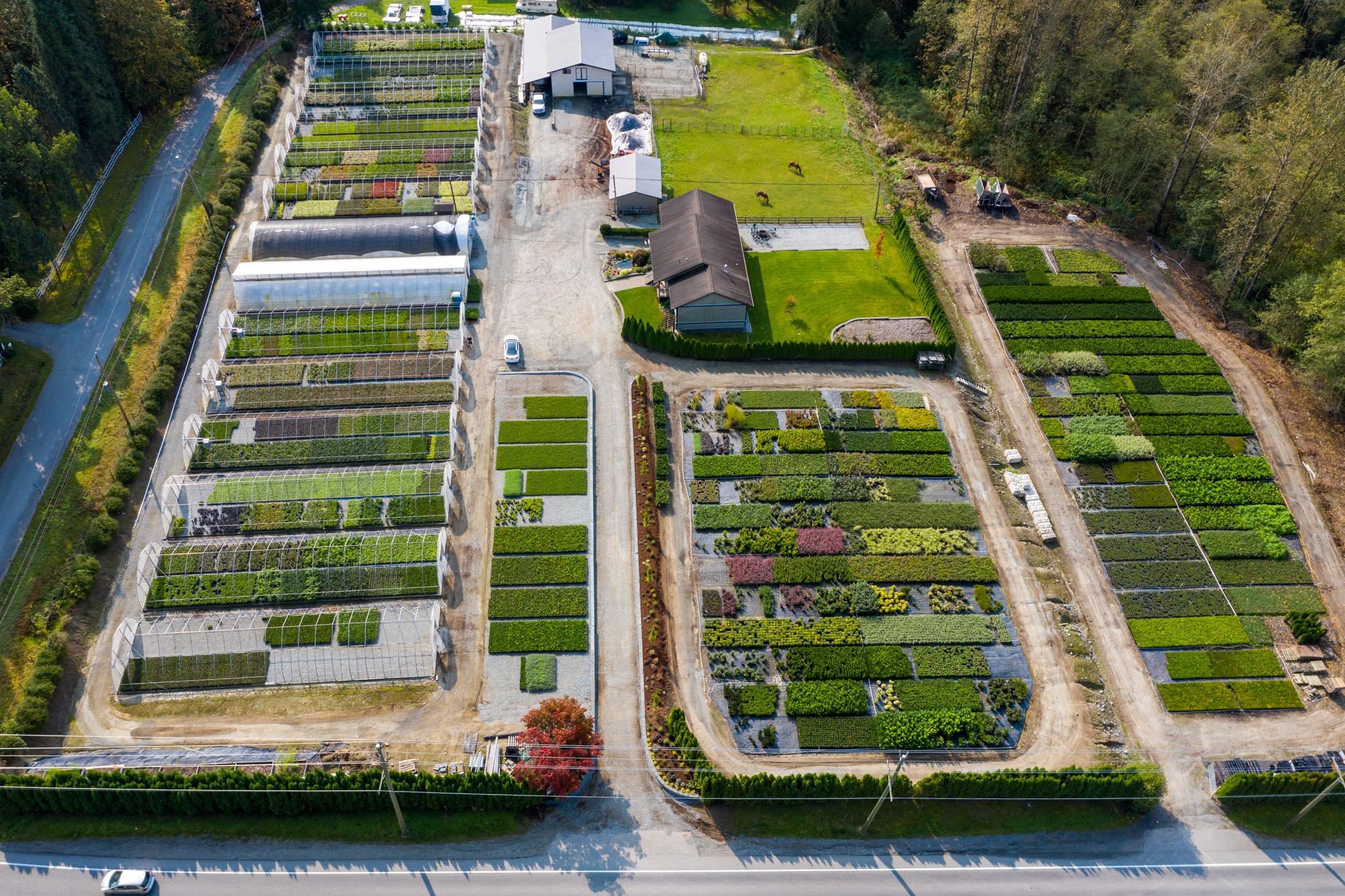 Ornamental Landscape Plants